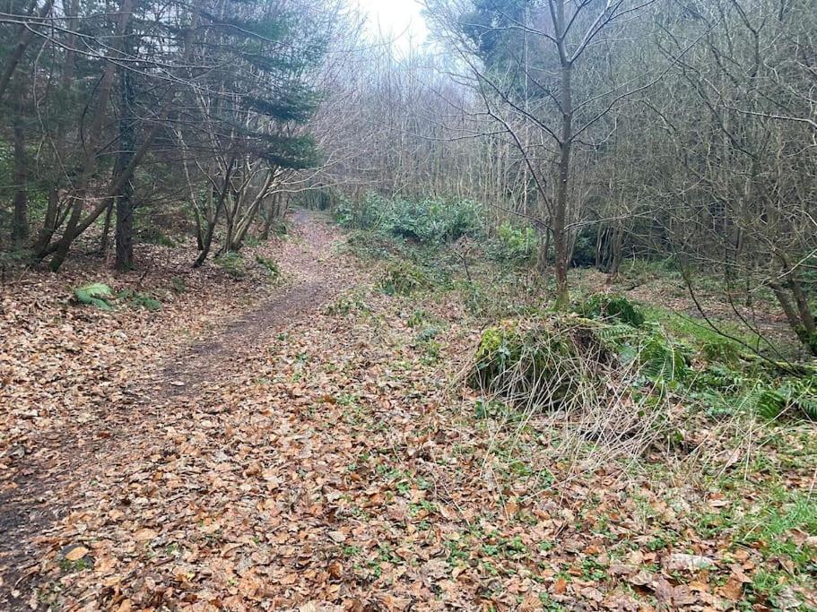 Forest View - Castlewellan, County Down Belfast Eksteriør billede
