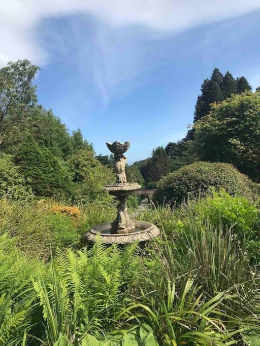 Forest View - Castlewellan, County Down Belfast Eksteriør billede