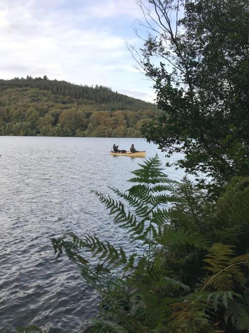 Forest View - Castlewellan, County Down Belfast Eksteriør billede