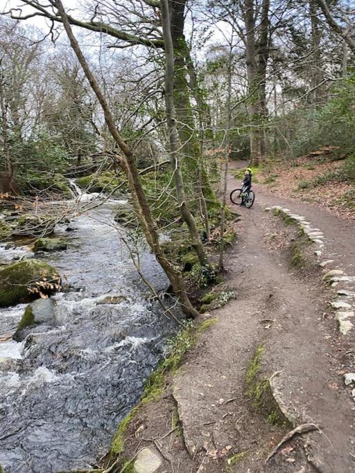 Forest View - Castlewellan, County Down Belfast Eksteriør billede