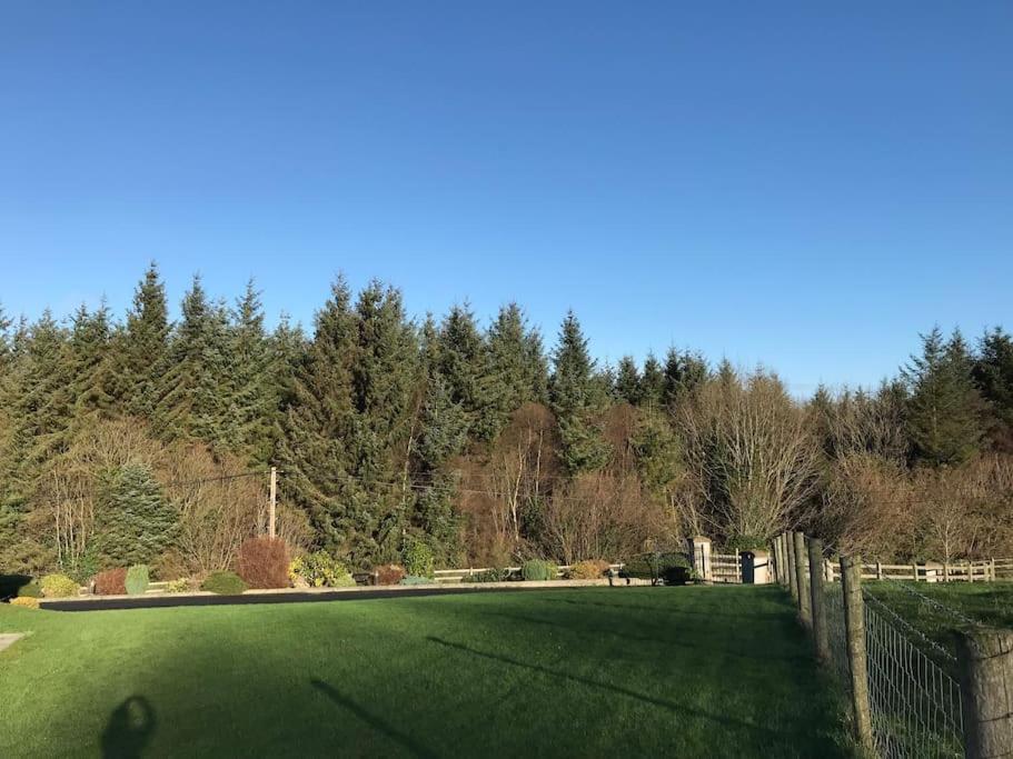 Forest View - Castlewellan, County Down Belfast Eksteriør billede