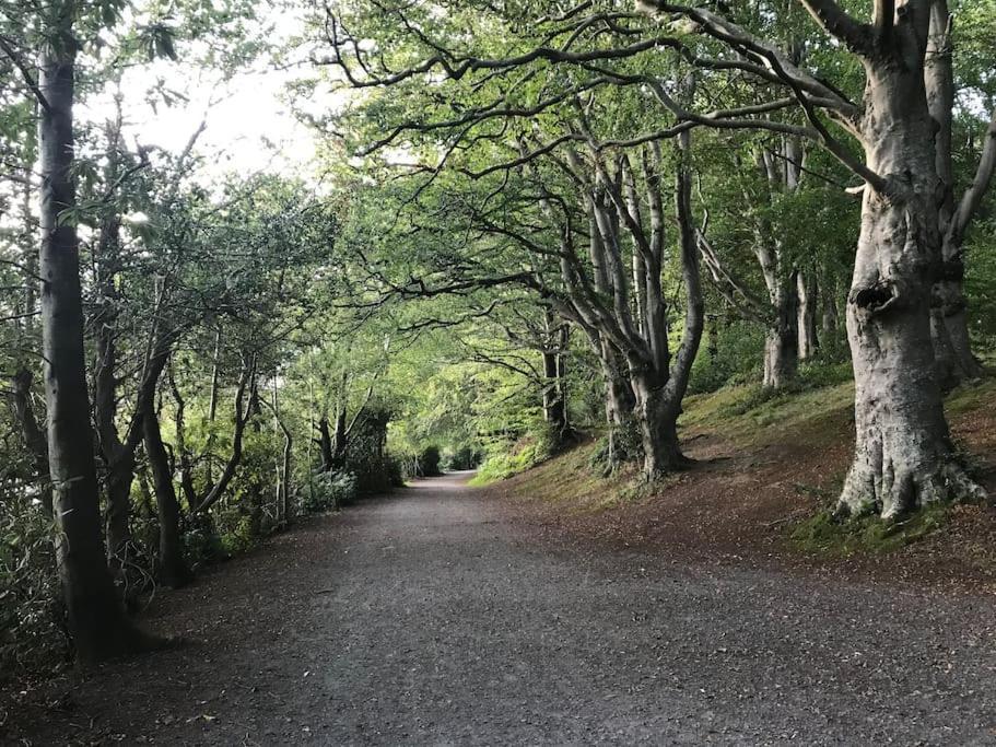 Forest View - Castlewellan, County Down Belfast Eksteriør billede