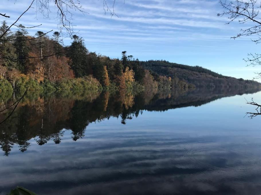 Forest View - Castlewellan, County Down Belfast Eksteriør billede