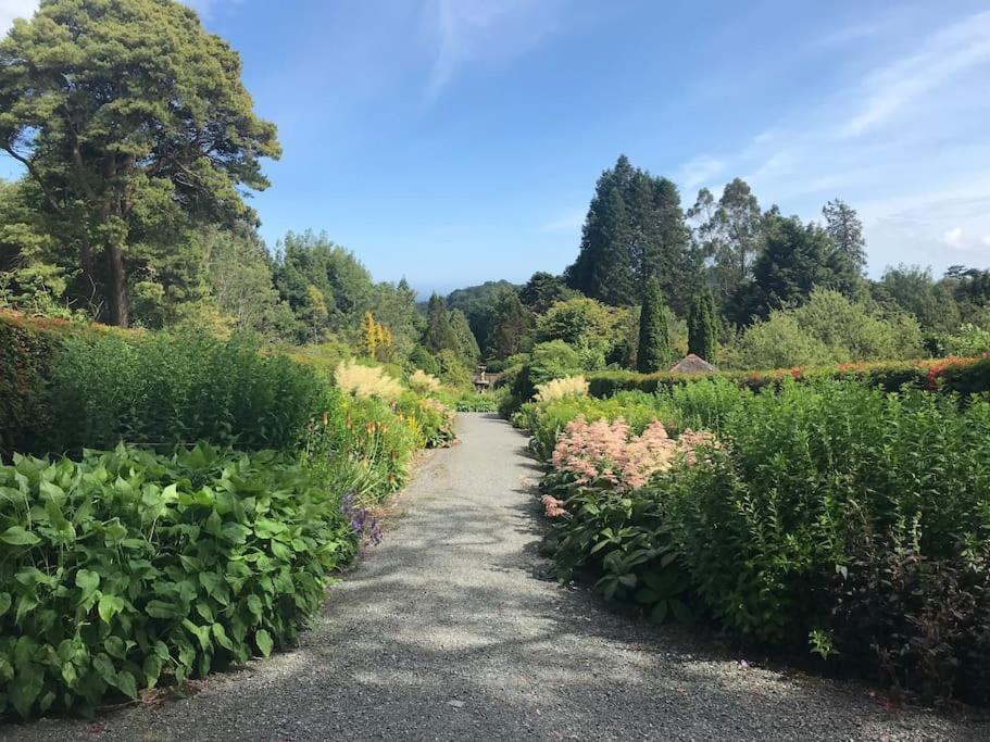 Forest View - Castlewellan, County Down Belfast Eksteriør billede